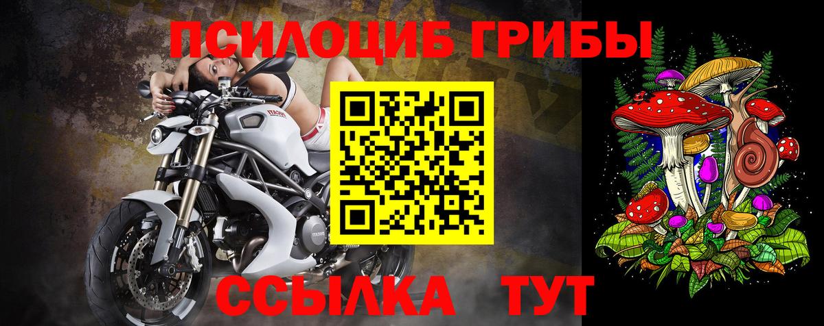 Нягань  Галлюциногенные грибы Cubensis  Вход с VPN 